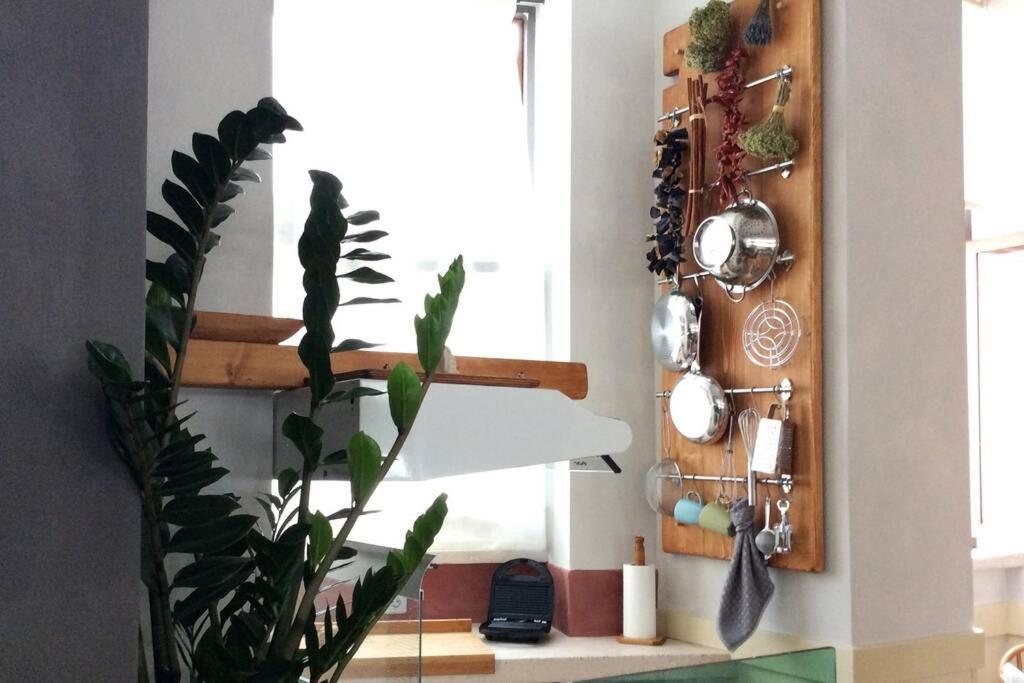 Unique - Spacious Studio With Rooftop / Thissio Athene Buitenkant foto